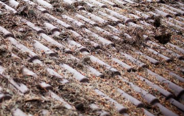 Polbain roof cleaning companies