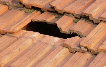 roof repair Polbain, Highland